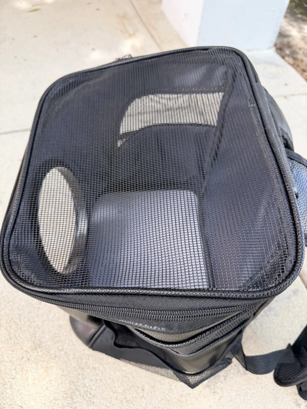 Black Pet Backpack Carrier with Bubble Window -‎ Comfortable Travel Carrier